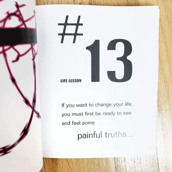 How to Be Happy Dammit:A Cynics Guide to Spiritual Happiness by Karen Salmansohn - Picture 3 of 4